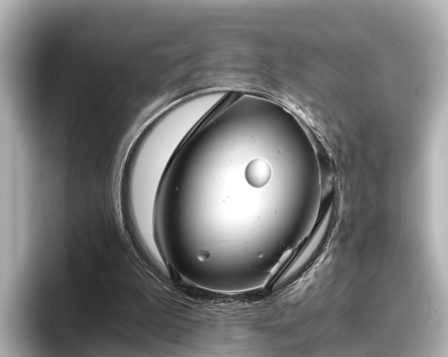 X0000096420199200801311419