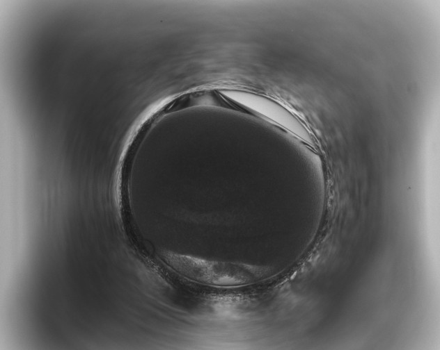 X0000096420200200801311419