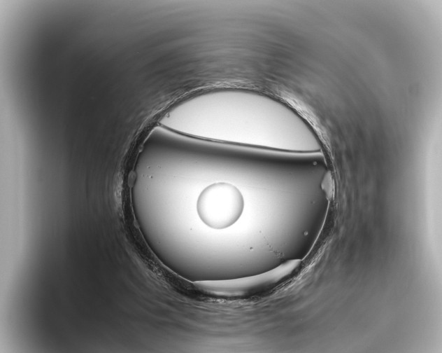 X0000096420201200801311419