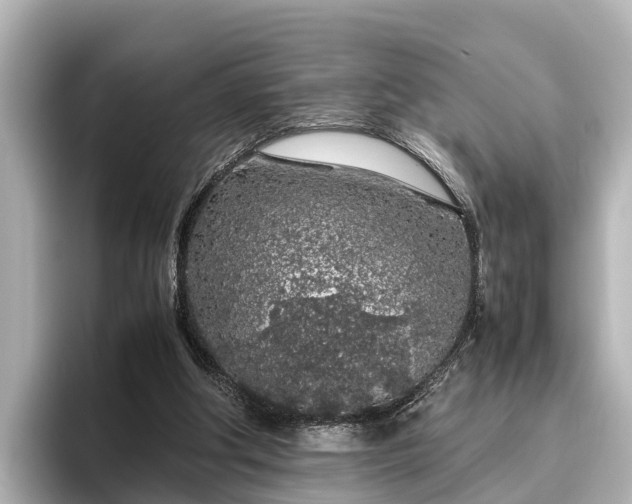 X0000096420202200801311419