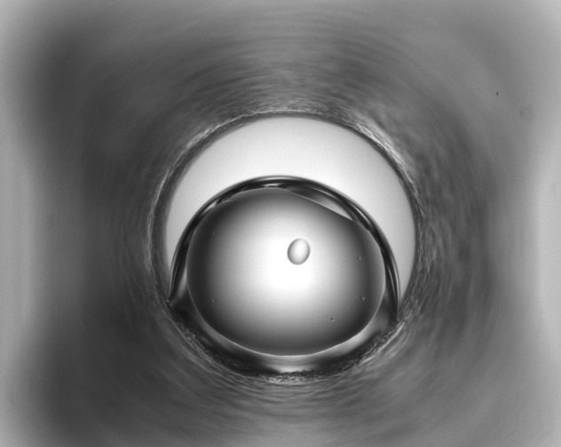 X0000096420203200801311419