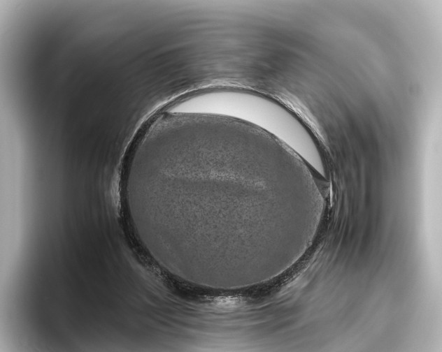 X0000096420204200801311419