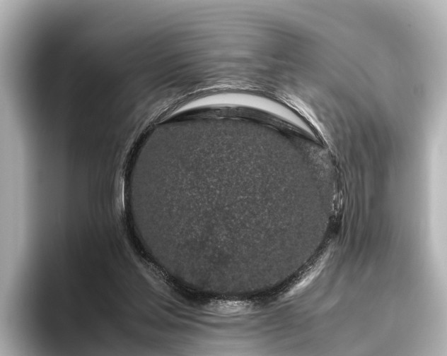 X0000096420205200801311419