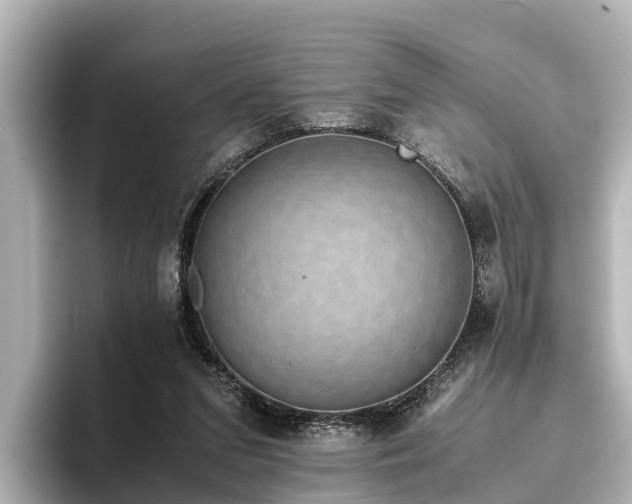 X0000096420207200801311419