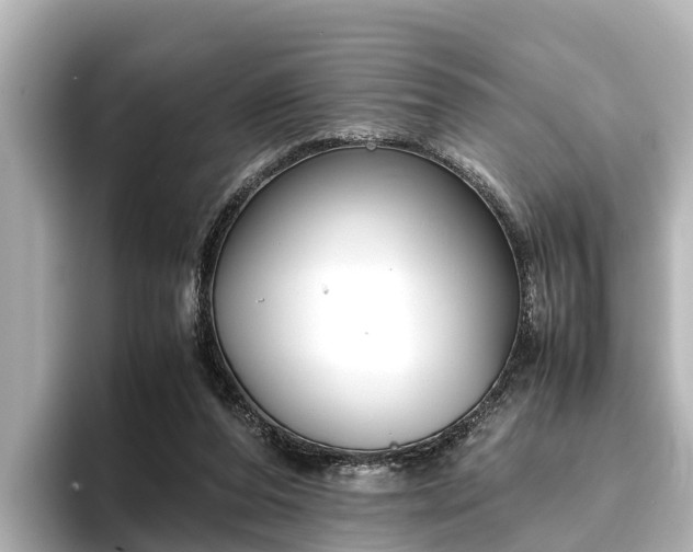 X0000096420208200801311419