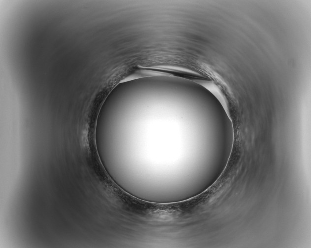 X0000096420209200801311419