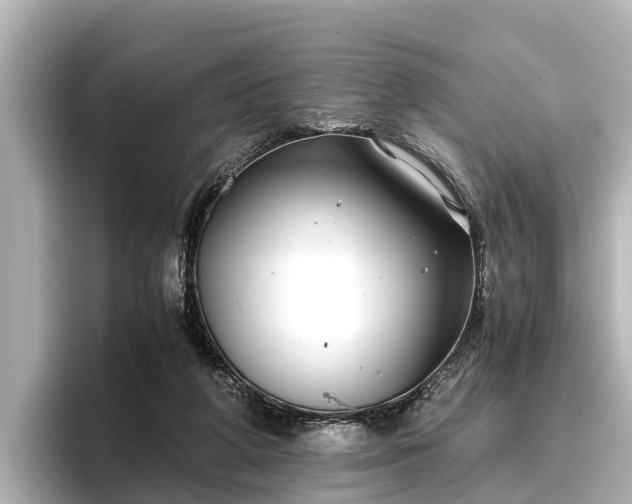 X0000096420210200801311419