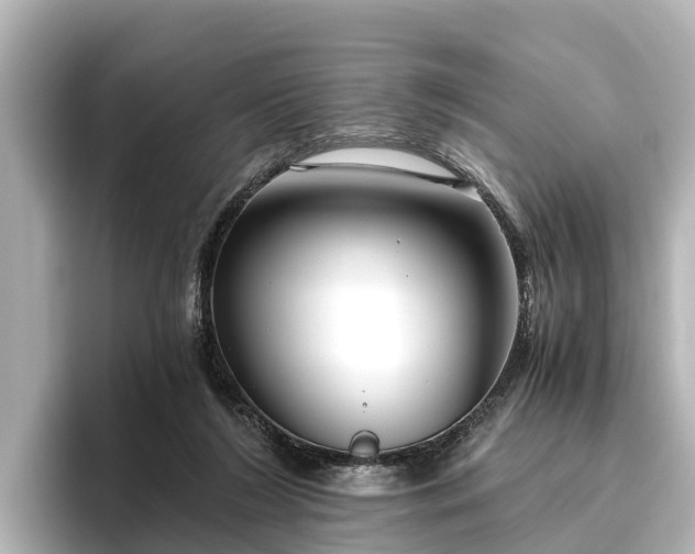 X0000096420212200801311419