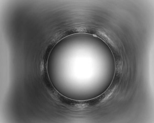 X0000096420213200801311419