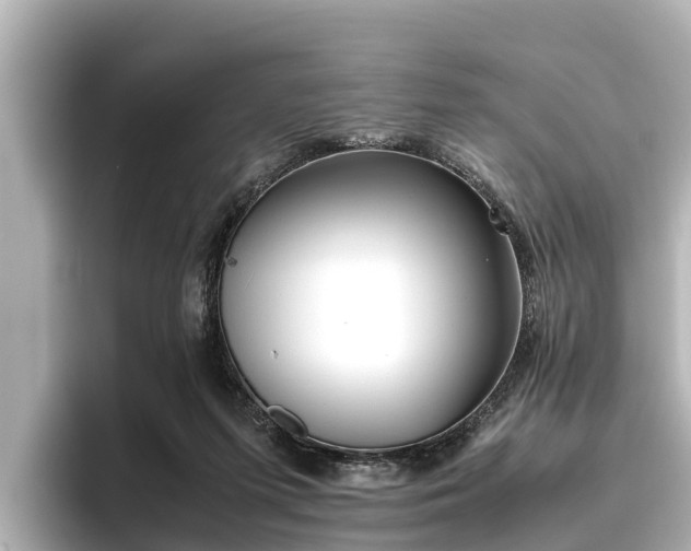 X0000096420215200801311419