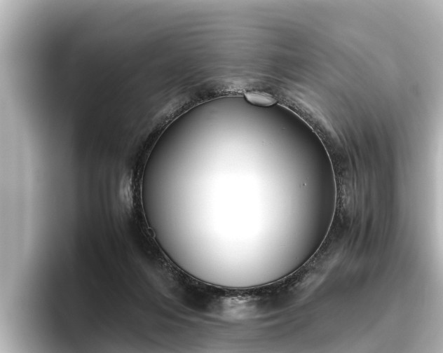 X0000096420216200801311419