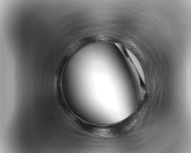 X0000096420217200801311419