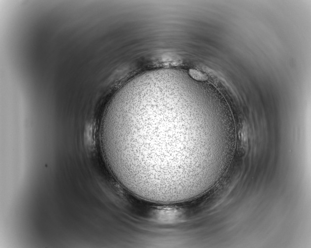 X0000096420218200801311419