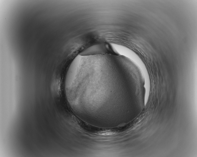 X0000096420219200801311419