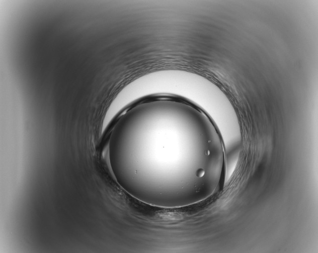 X0000096420221200801311419