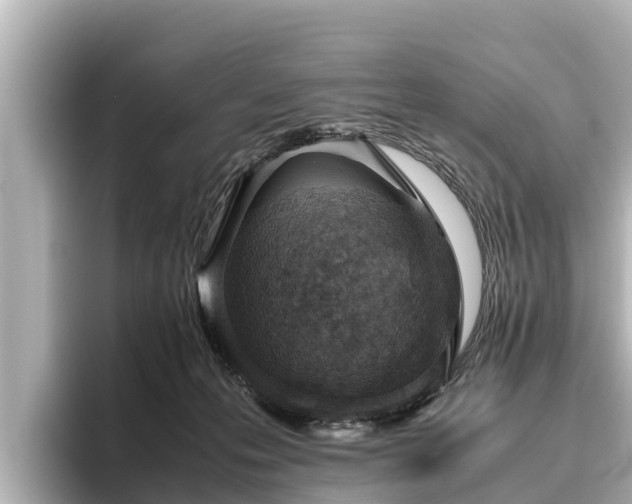 X0000096420223200801311419