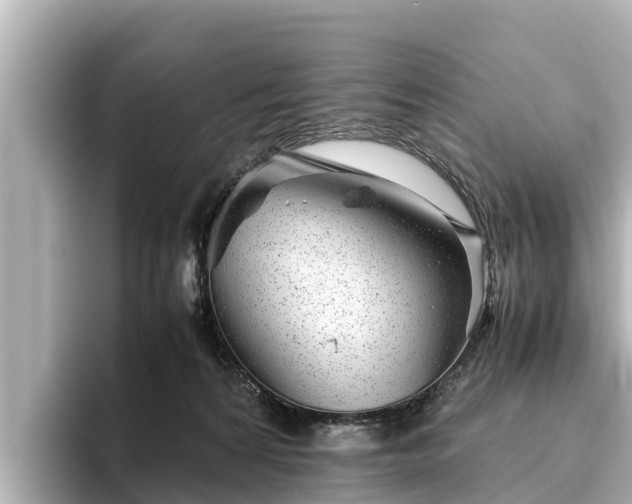 X0000096420224200801311419