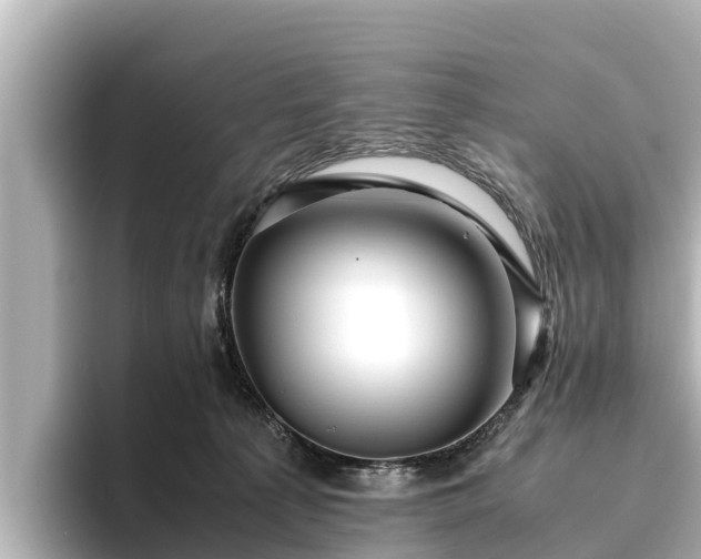 X0000096420225200801311419