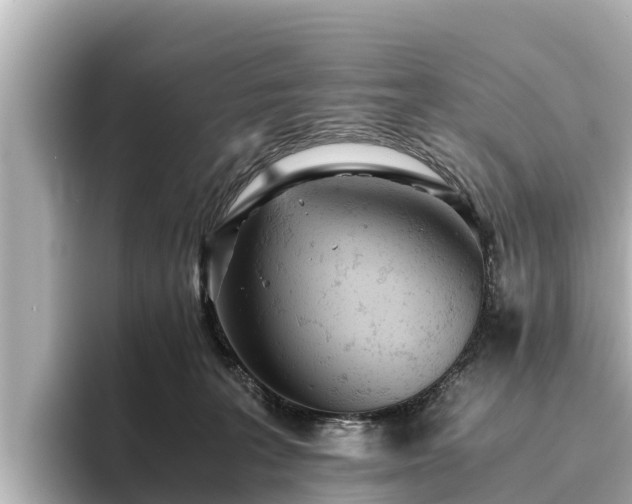 X0000096420227200801311419