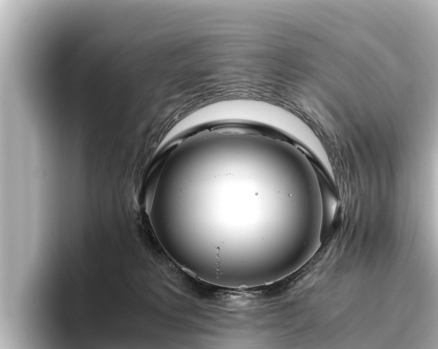 X0000096420229200801311419