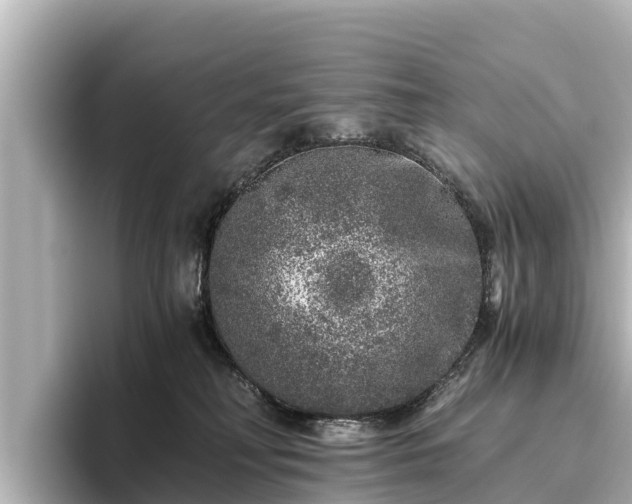 X0000096420230200801311419