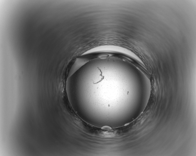 X0000096420232200801311418