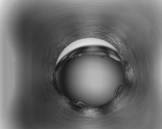 X0000096420235200801311418