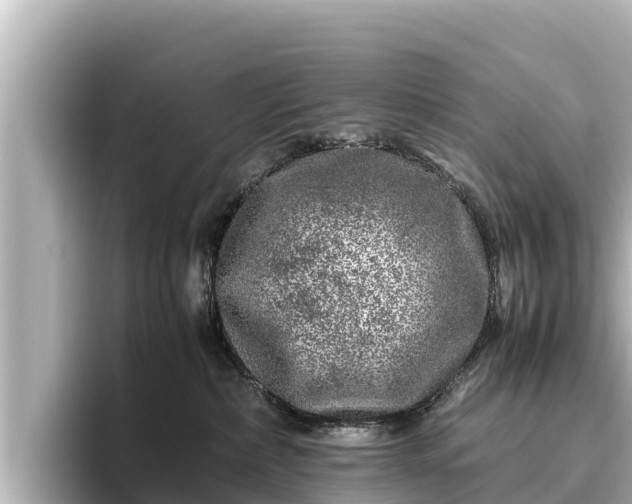 X0000096420236200801311418