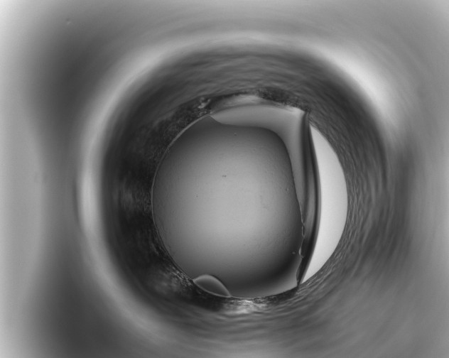 X0000096420239200801311418