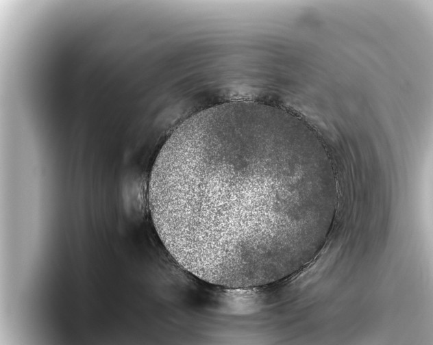 X0000096420240200801311418