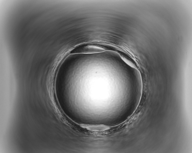 X0000096420241200801311418