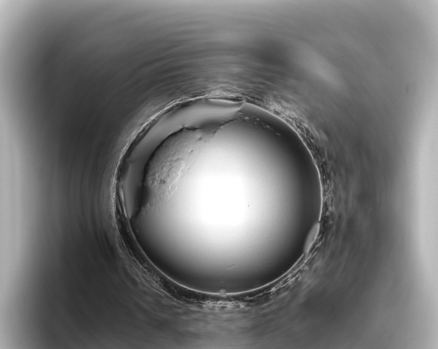 X0000096420242200801311418