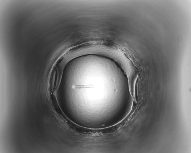 X0000096420243200801311418