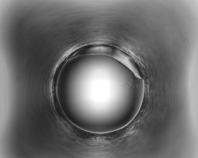 X0000096420244200801311418