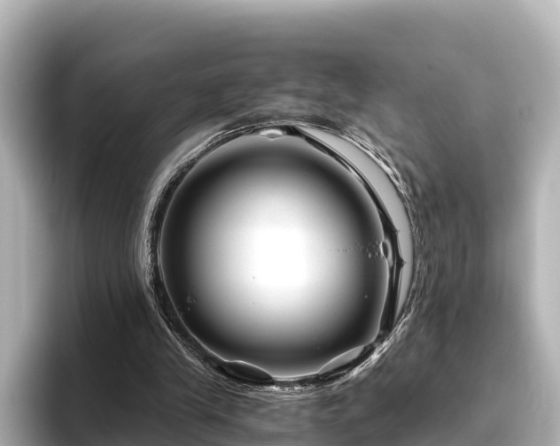 X0000096420245200801311418