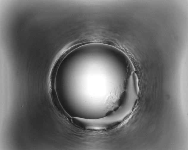 X0000096420246200801311418