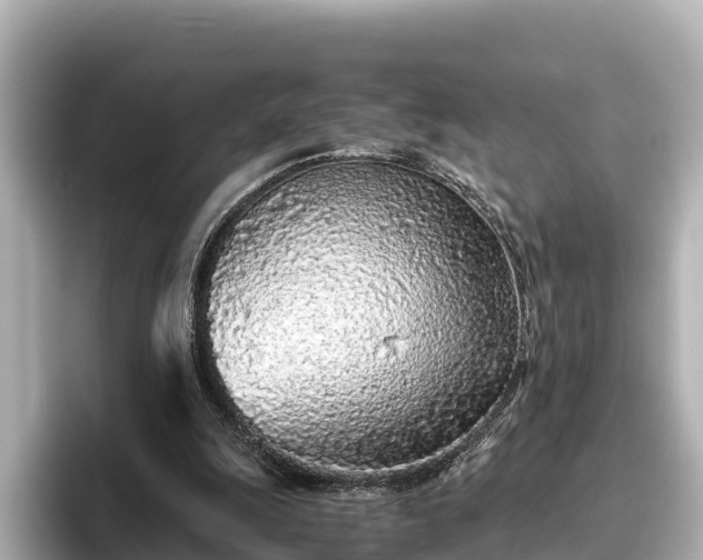 X0000096420247200801311418