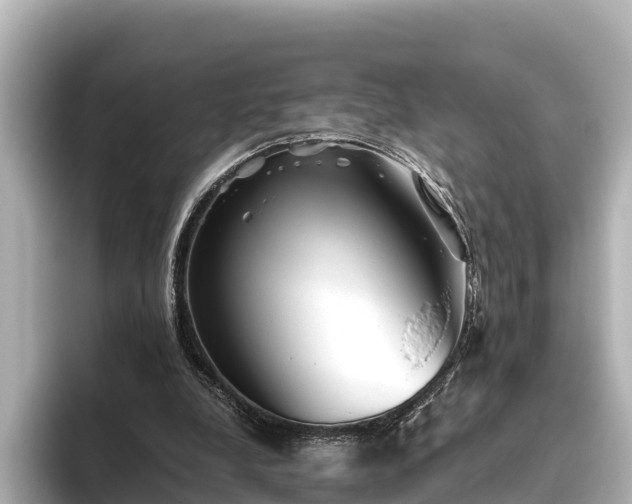 X0000096420248200801311418