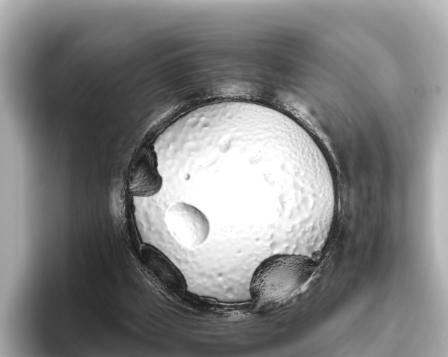 X0000096420249200801311418