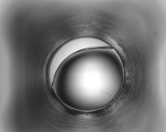 X0000096420250200801311418