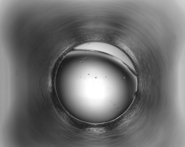 X0000096420251200801311418