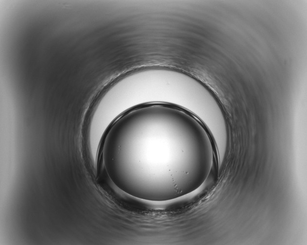 X0000096420252200801311418