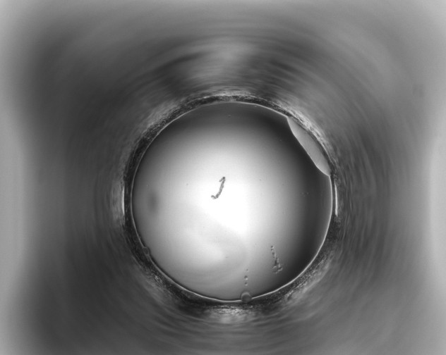 X0000096420253200801311418