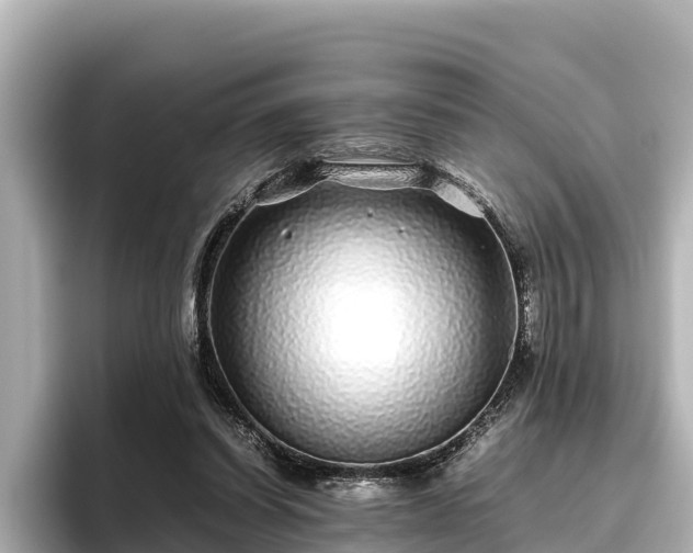 X0000096420254200801311418