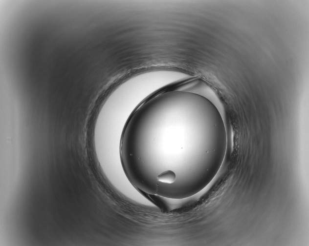 X0000096420256200801311418