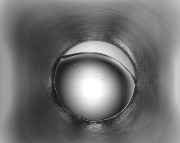 X0000096420257200801311418