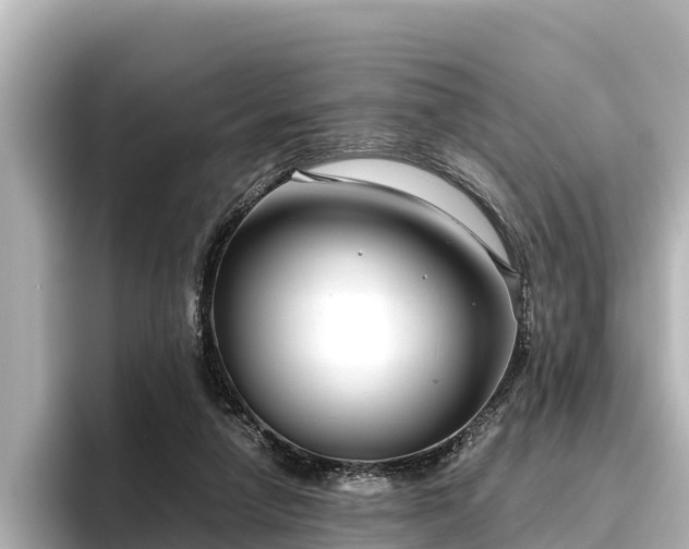 X0000096420258200801311418