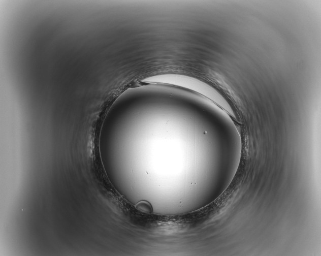 X0000096420259200801311418