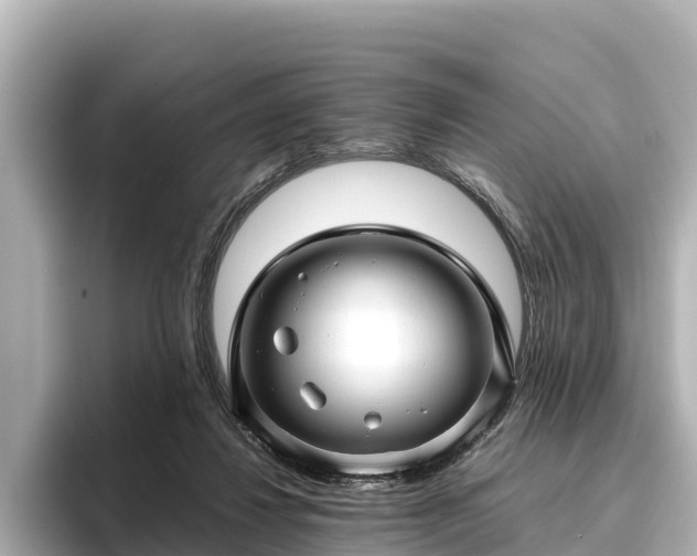 X0000096420260200801311418