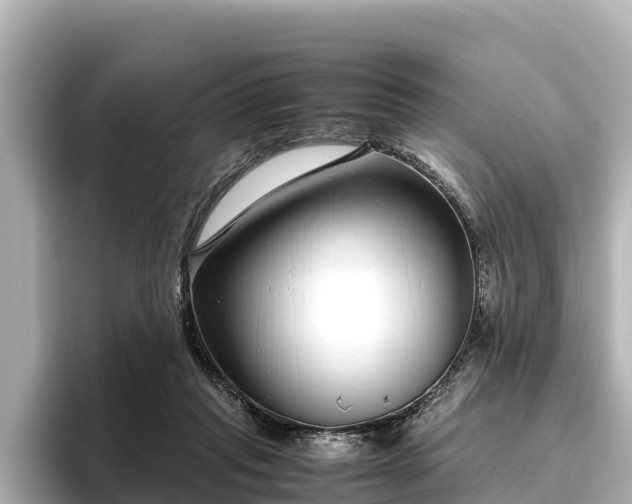 X0000096420261200801311418